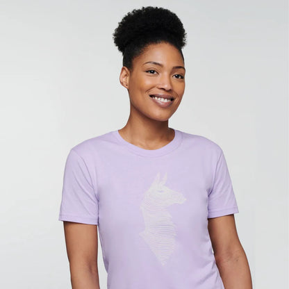 Thistle