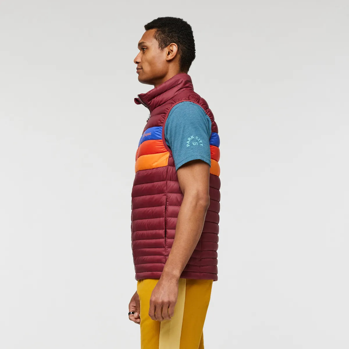 Burgundy Stripes