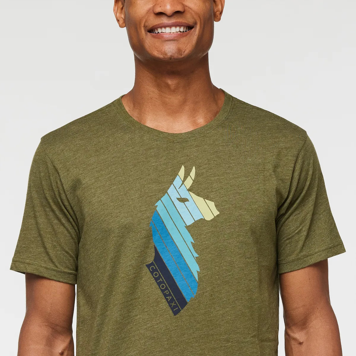 Pine