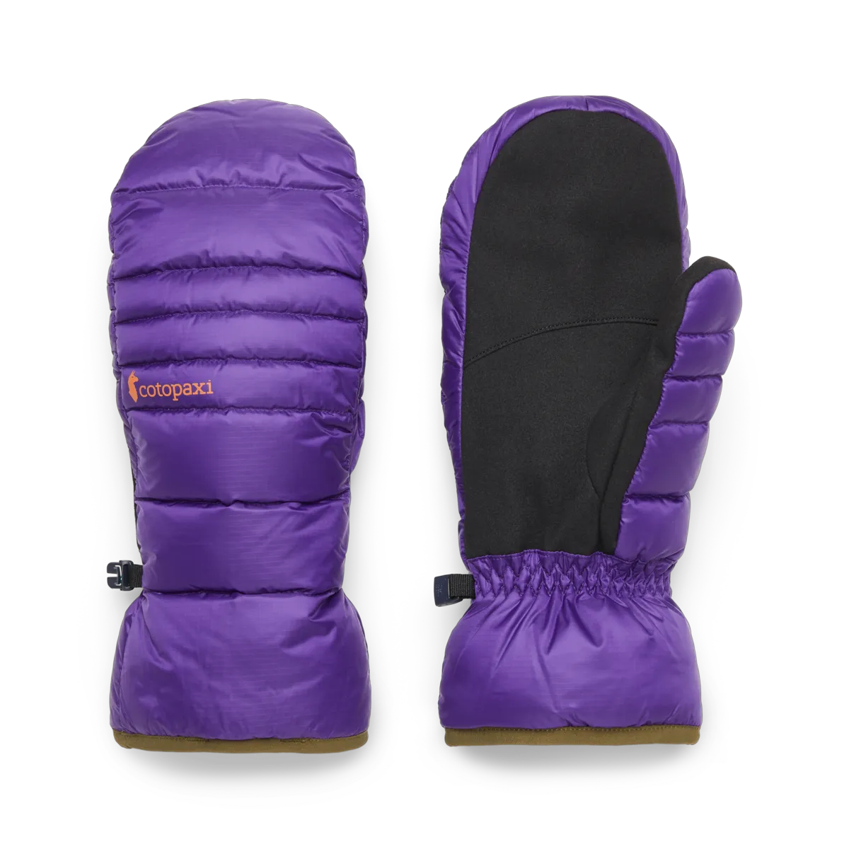Black Violet