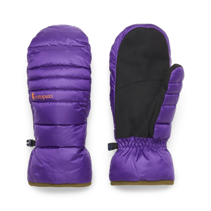 Black Violet