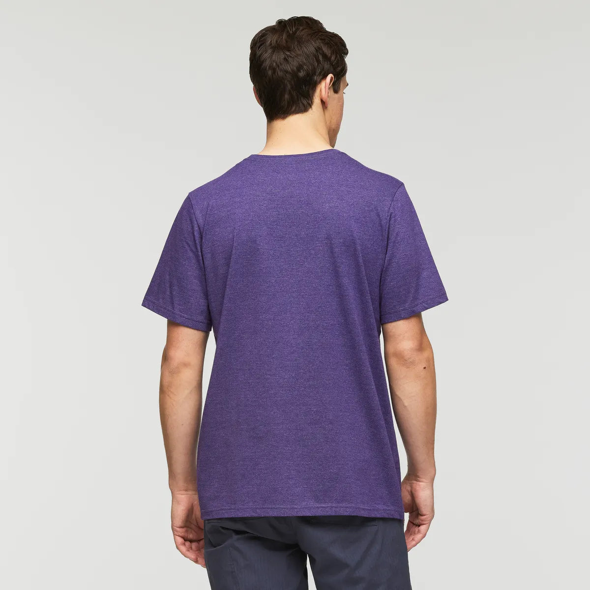 Black Violet