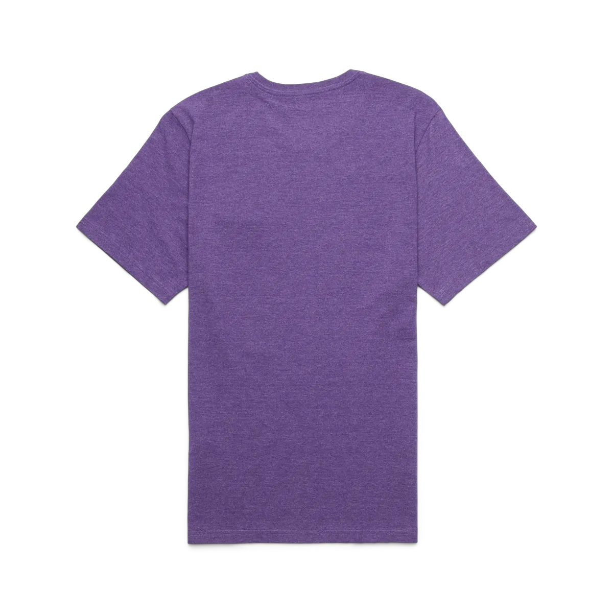 Black Violet