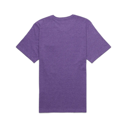 Black Violet
