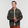 Live Oak Plaid