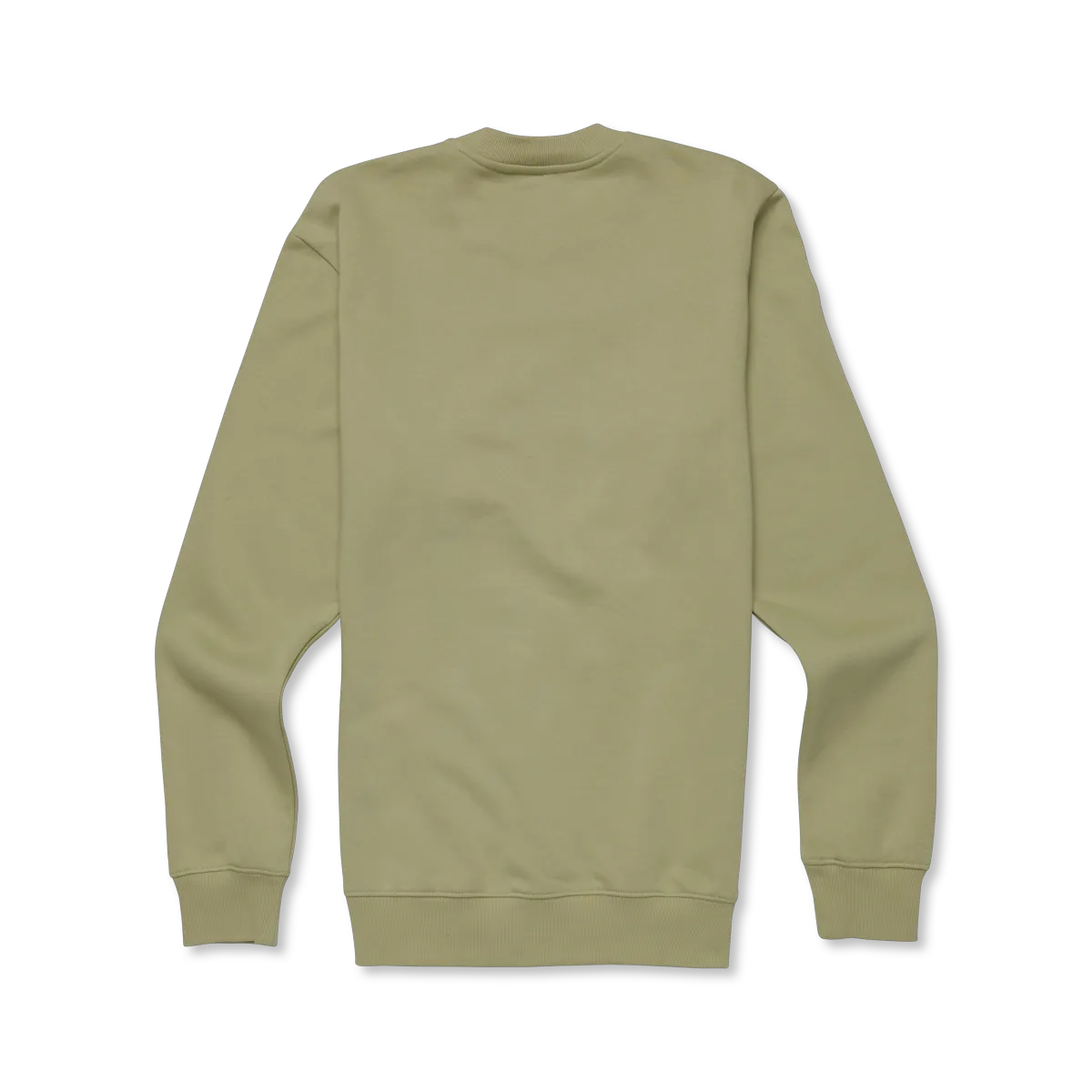 Seed