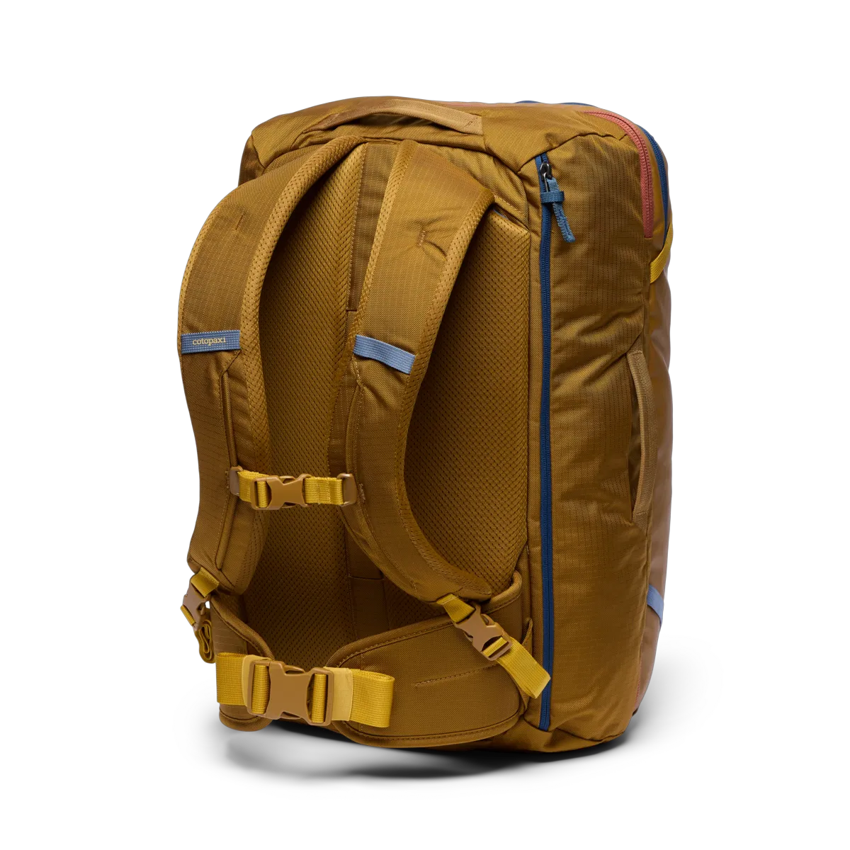 Bronze