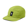 Cedar