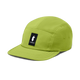 Cedar