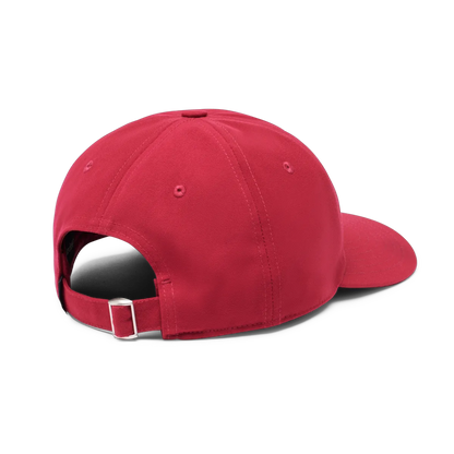 Raspberry