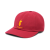 Raspberry