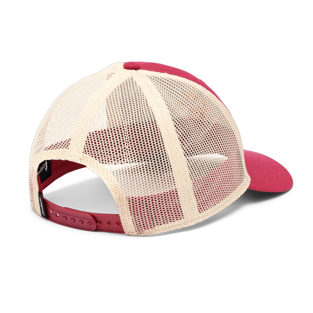Raspberry