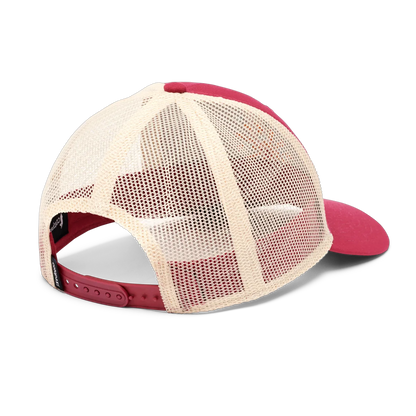 Raspberry