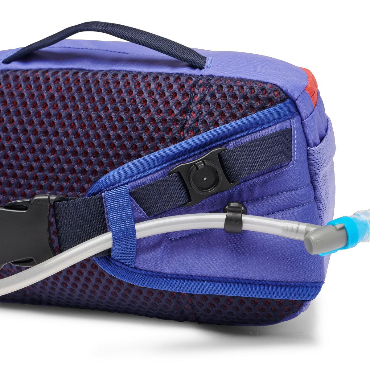 Amethyst/Blue Violet