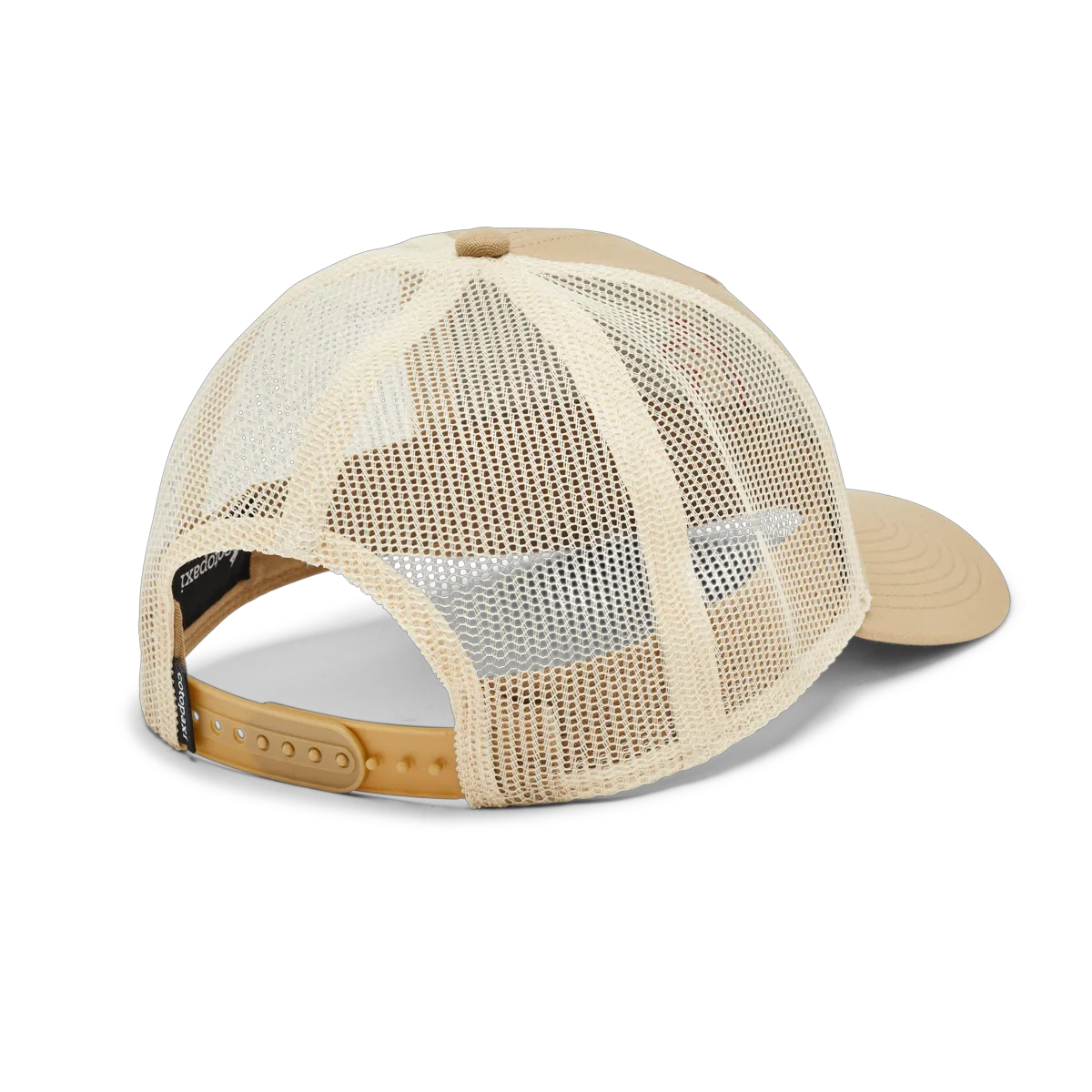 Desert