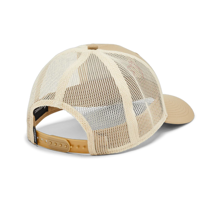 Desert