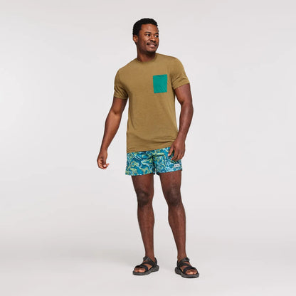 Gulf/Kelp