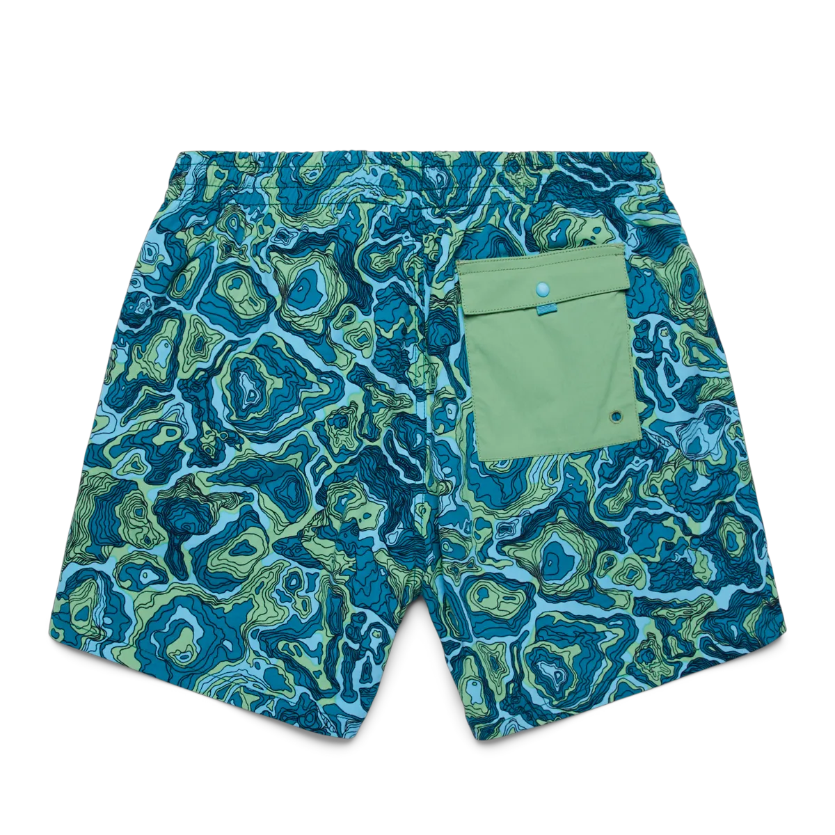 Gulf/Kelp
