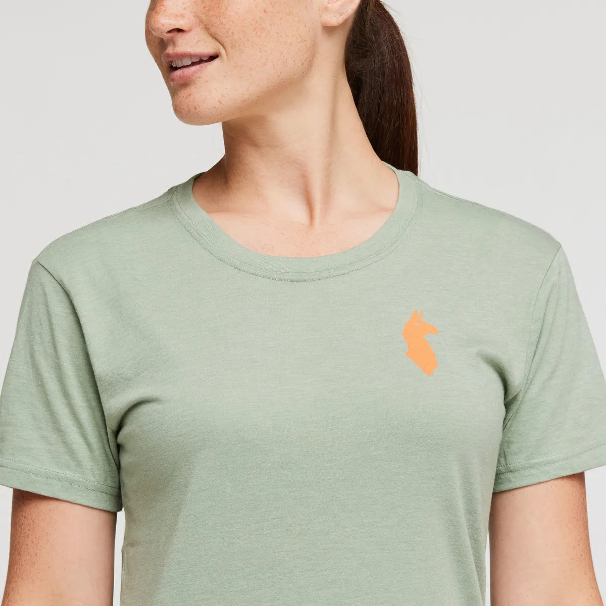 Silver Leaf