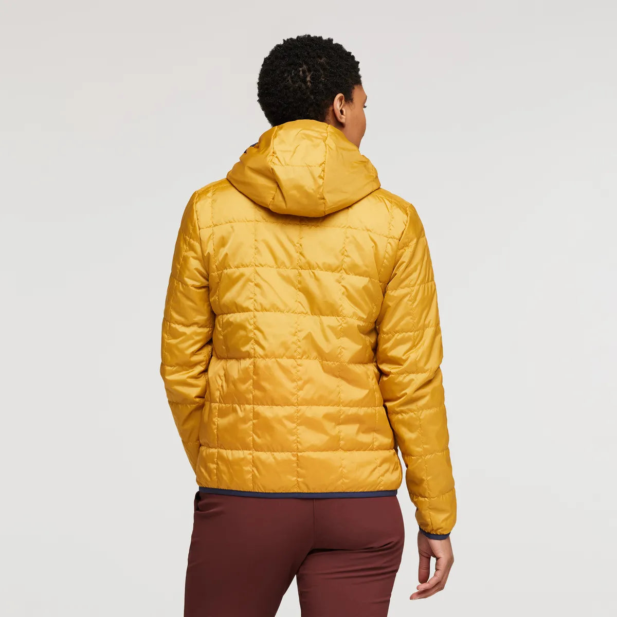 Honeybee