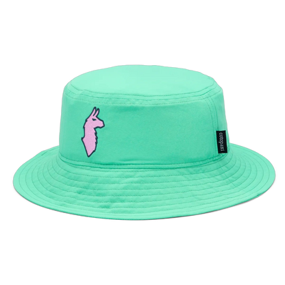 Parakeet