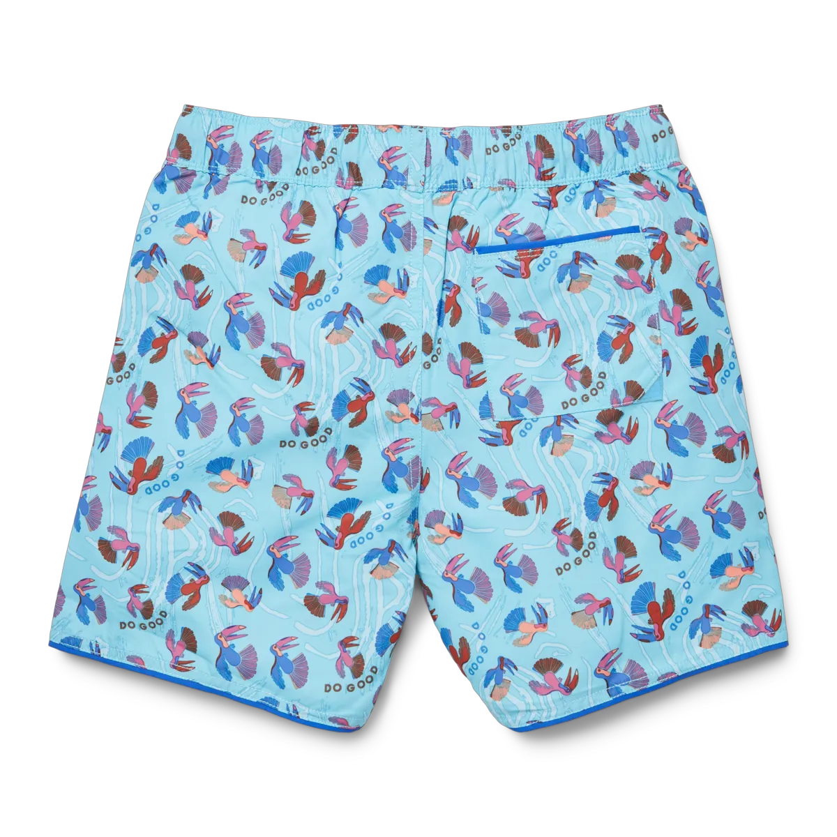 Tucan Blue Sky
