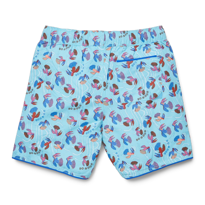 Tucan Blue Sky