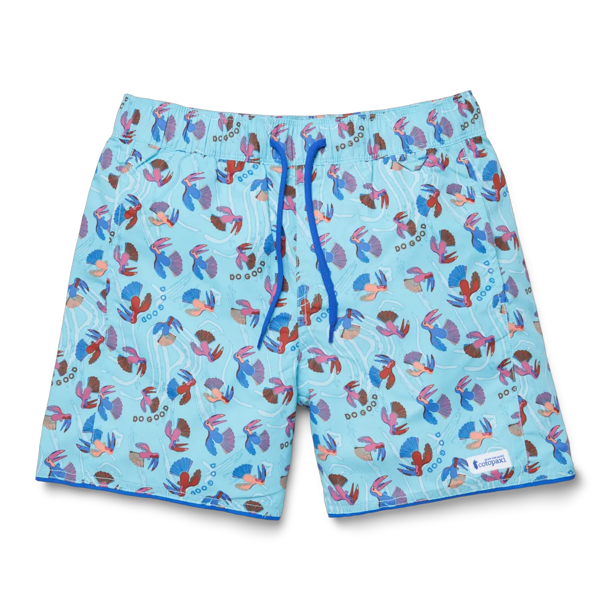 Tucan Blue Sky