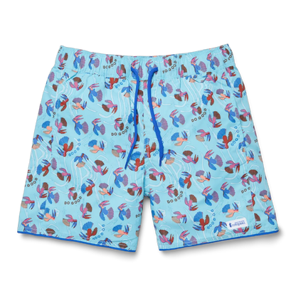 Tucan Blue Sky