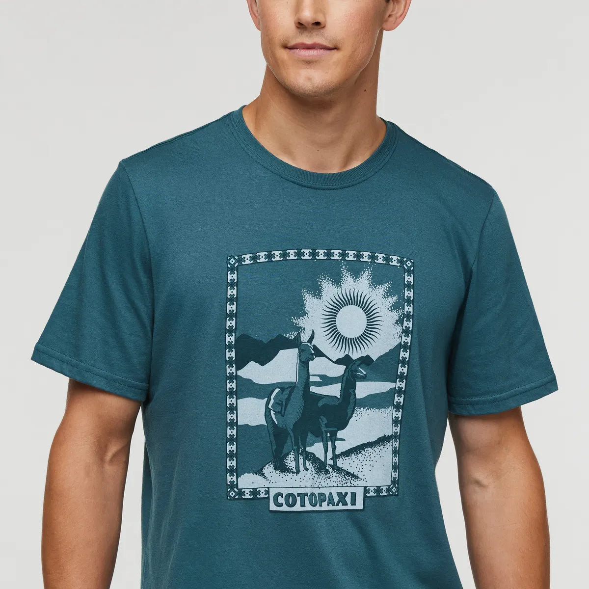 Blue Spruce