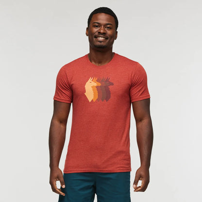 Magma