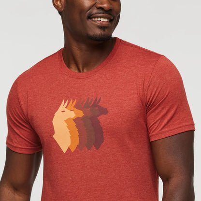 Magma