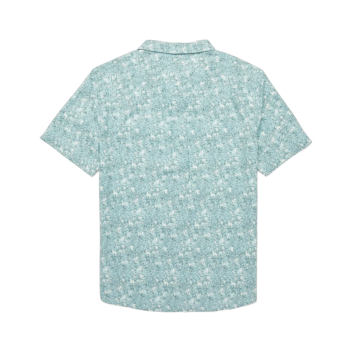 Seaweed Foam