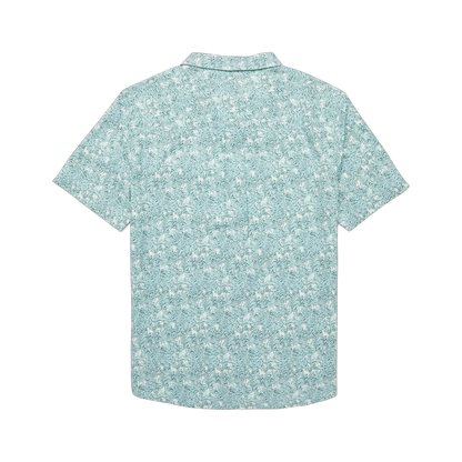 Seaweed Foam
