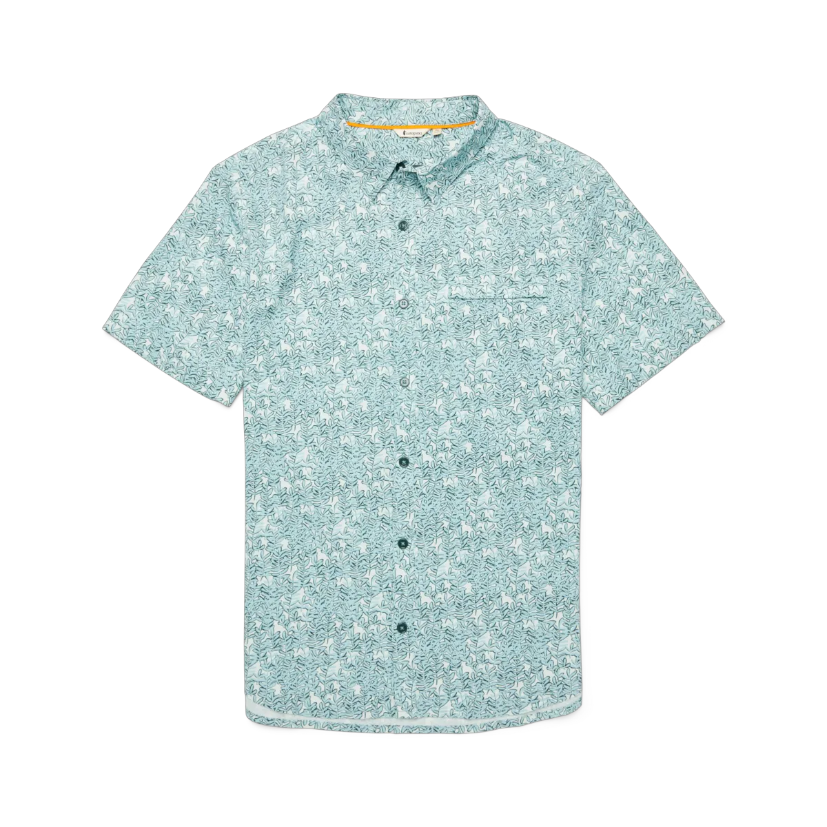 Seaweed Foam