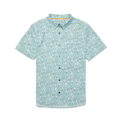 Seaweed Foam