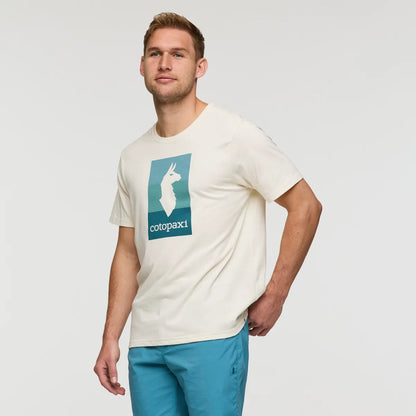 Bone