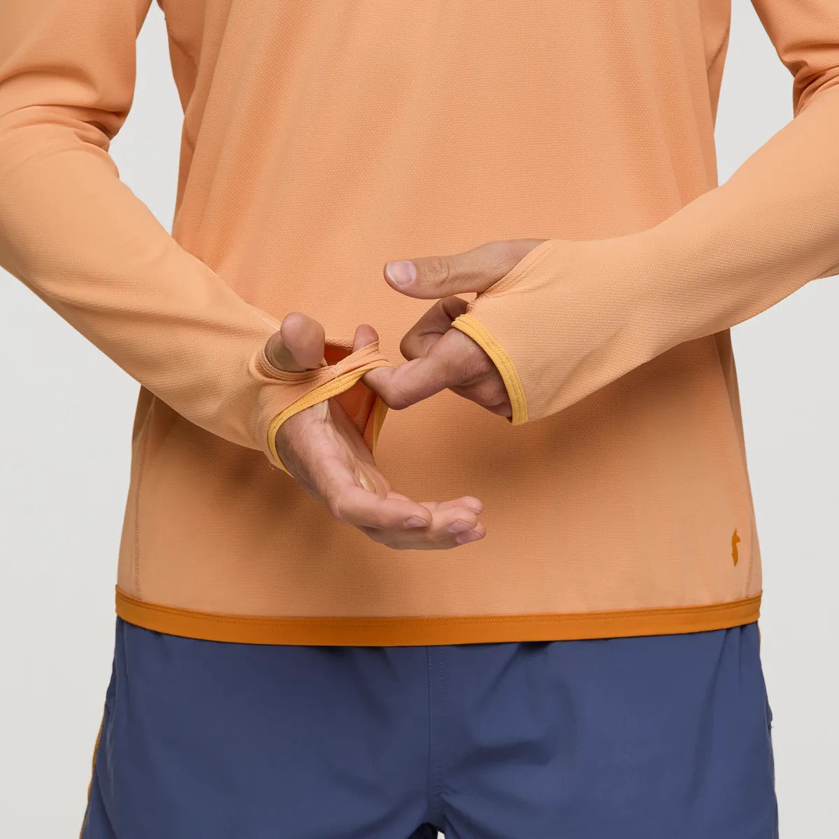 Apricot