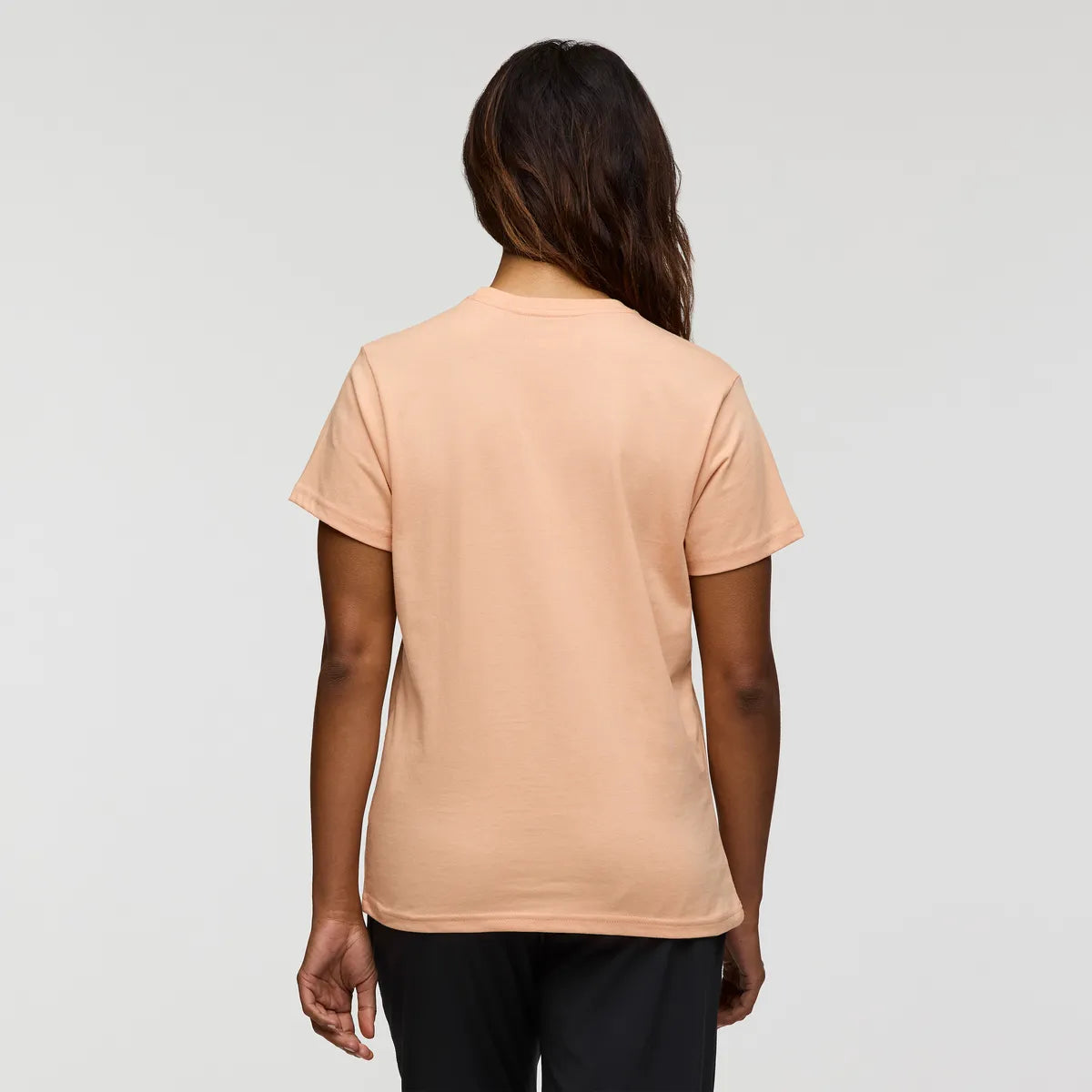 Apricot
