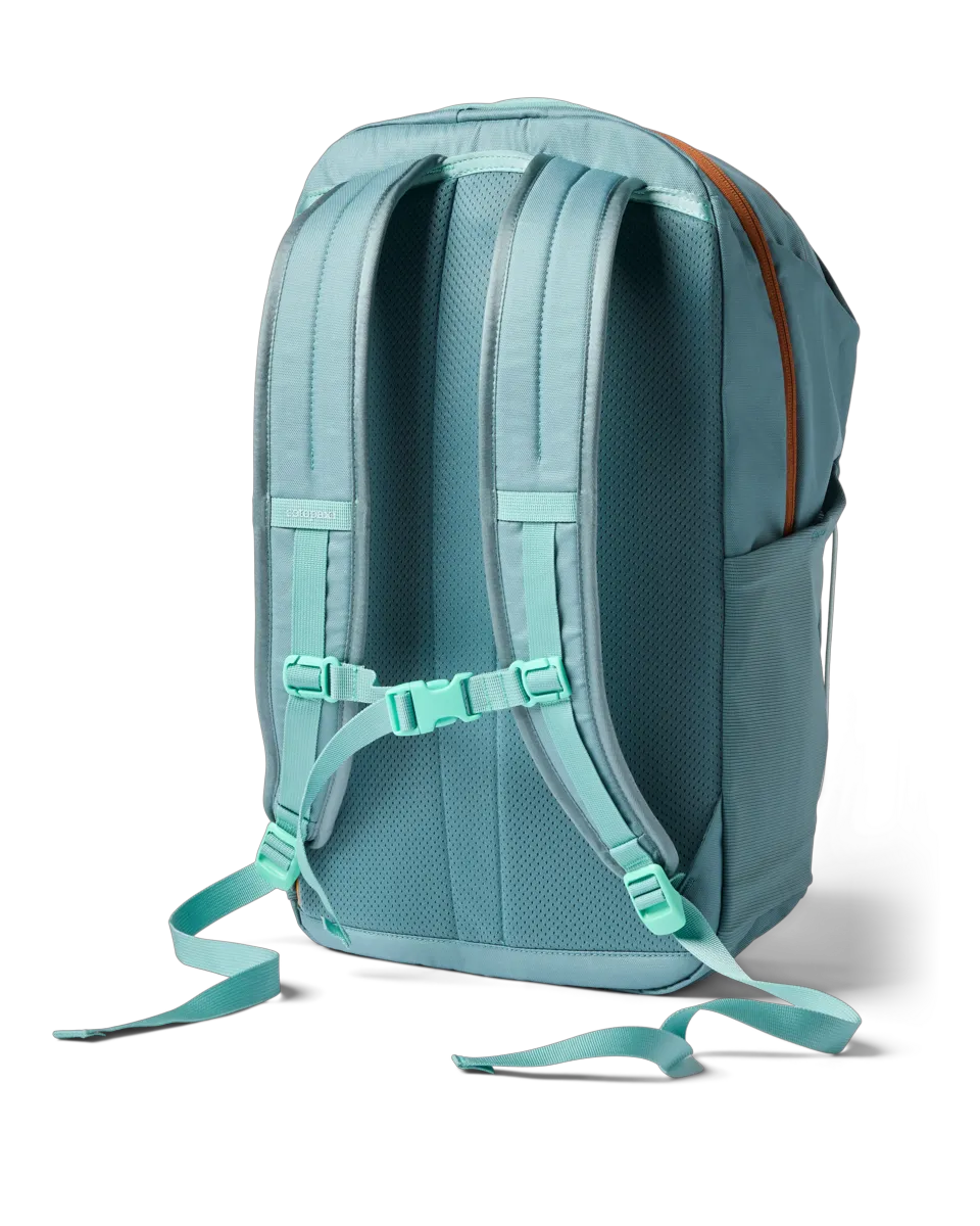 Everglade