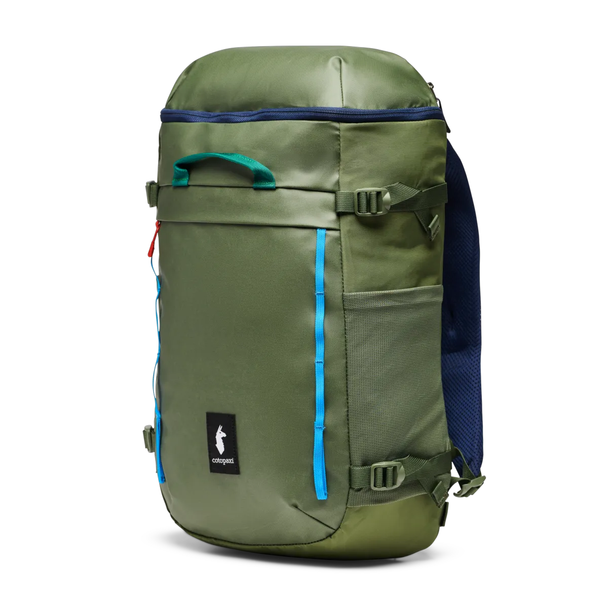 Spruce