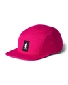 Pitaya