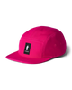 Pitaya