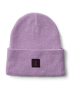 Moonbeam