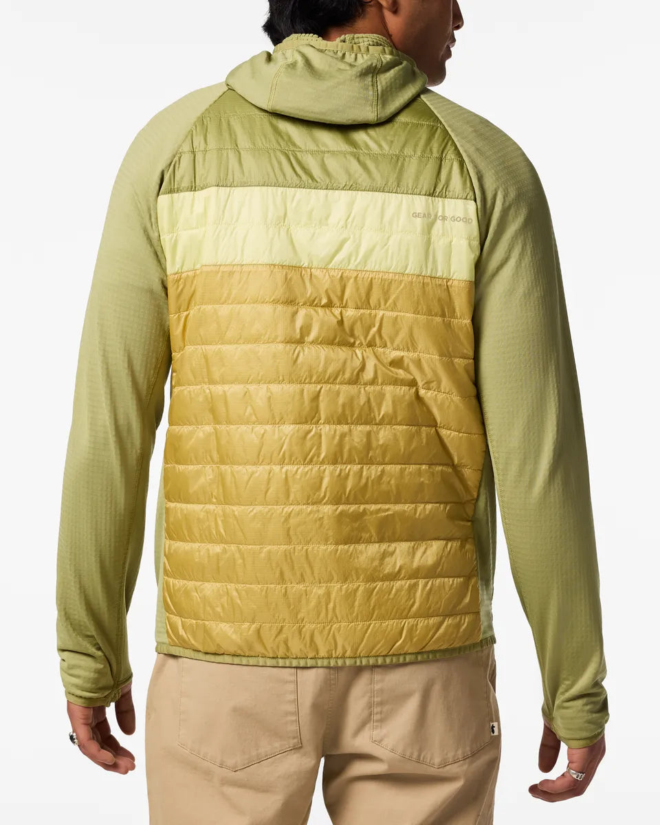 Seed/Husk