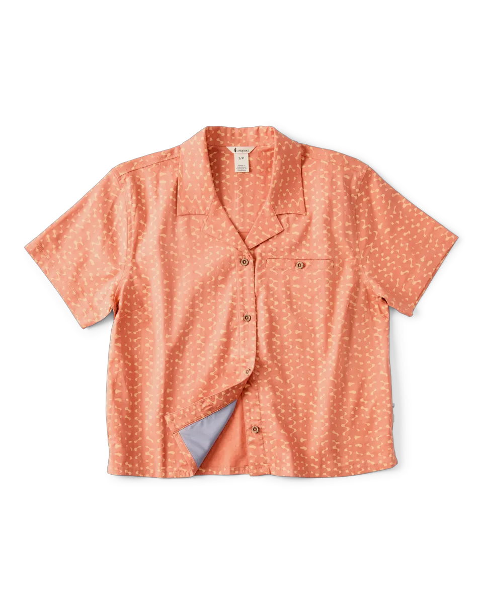 Shimmer Cantaloupe